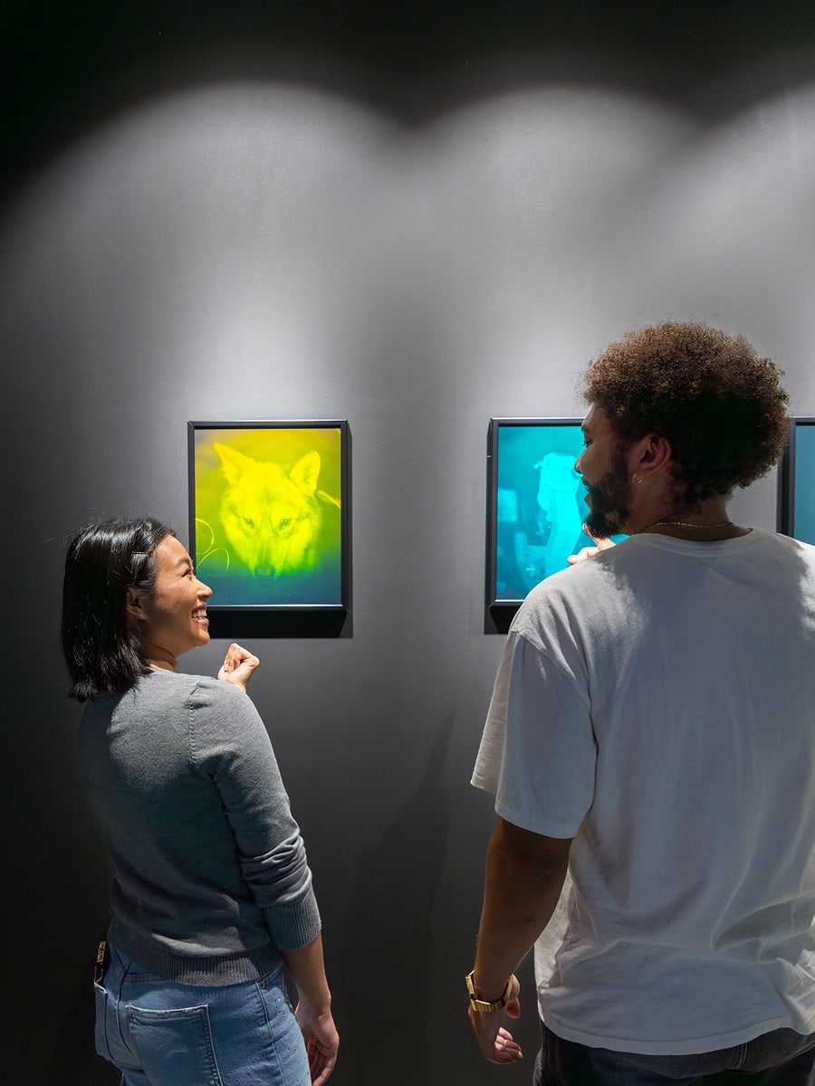 images exhibits gallery3 moi edmonton 1200×900